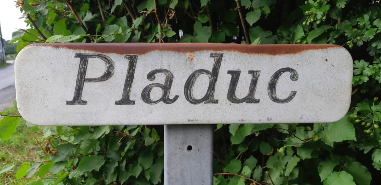 Domaine De Pladuc Bed and Breakfast Lachaise Exteriör bild