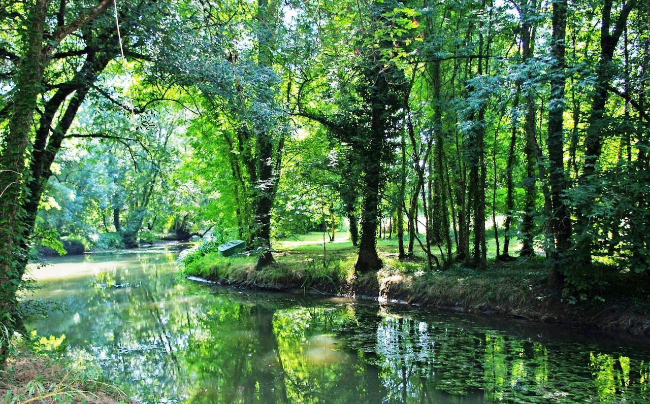 Domaine De Pladuc Bed and Breakfast Lachaise Exteriör bild