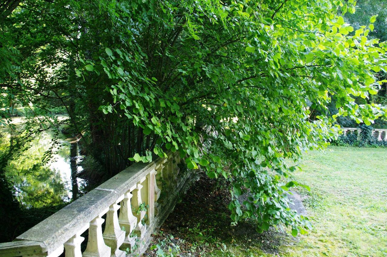 Domaine De Pladuc Bed and Breakfast Lachaise Exteriör bild